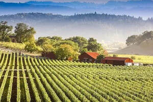 智利葡萄酒产区图片
