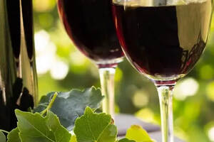 红葡萄酒和白葡萄酒的饮用温度不一样？