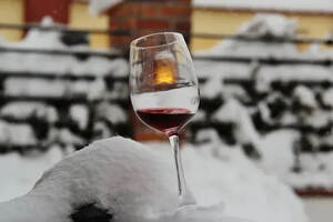 再贵的酒也不抗冻！冬天的葡萄酒要如何保存和运输？
