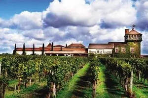 四个葡萄酒主要生产区