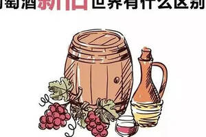 中国葡萄酒属于新世界还是旧世界