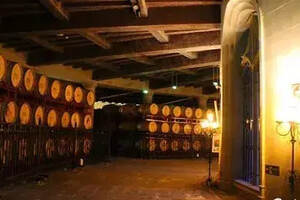 中国名酒庄系列：贺兰山张裕摩塞尔十五世酒庄的神秘
