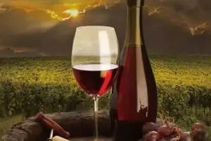 葡萄酒企业文化