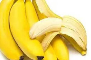 香蕉能酿酒吗，家庭自制香蕉酒的方法和步骤