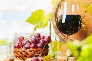 自酿葡萄酒保质期一斤葡萄出多少酒