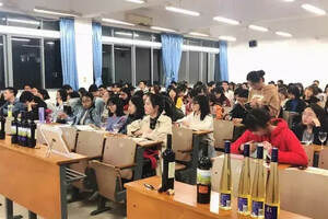 长城牵头梳理“中国葡萄酒文化课程”实现中国葡萄酒文化崛起