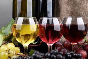 意大利葡萄酒葡萄品种