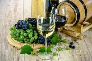 干白葡萄酒的发酵工艺