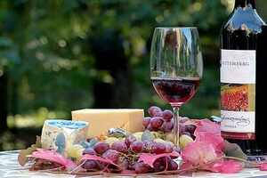 酿葡萄酒用什么品种的葡萄好