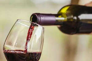 哪个葡萄品种的葡萄酒好喝