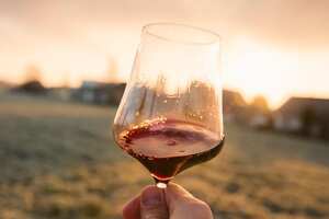 葡萄酒为什么不能一口咽下去？葡萄酒的六种时光是怎样的？