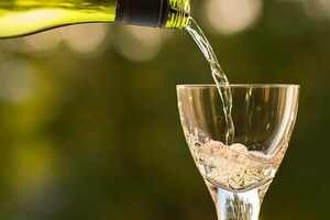 白葡萄酒酿造过程示意图