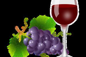 品丽珠葡萄酒是什么