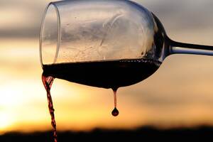 葡萄酒的酿造过程讲解