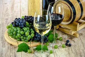 酿葡萄酒的葡萄品种有哪些