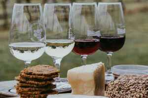 南非葡萄酒标准对照表