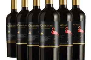 智利著名红酒品牌