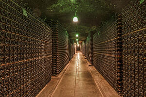 法国每公顷葡萄产多少葡萄酒