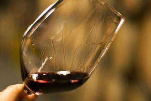 自酿葡萄酒的发酵过程