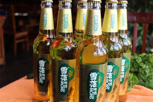 中国啤酒市场份额排名