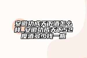 安徽功成天下酒怎么样_安徽功成天下52度酒多少钱一瓶