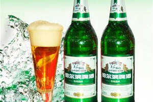 拉格啤酒和艾尔啤酒的区别,艾尔啤酒与拉格啤酒