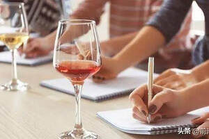 葡萄酒品评竞赛有什么作用？什么是展示性品鉴和葡萄酒品评竞赛？