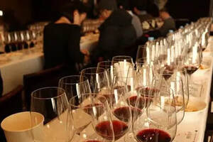 什么是葡萄酒的垂直品鉴？葡萄酒垂直品评类型的新奇之处