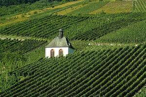 法国葡萄酒发展史