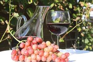 葡萄酒是用什么葡萄酿造的（桃红葡萄酒是用什么葡萄酿造的）