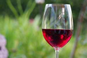 拉菲红酒品种太多怎么区分