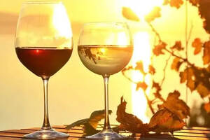 【法庄】红葡萄酿红葡萄酒，白葡萄酿白葡萄酒