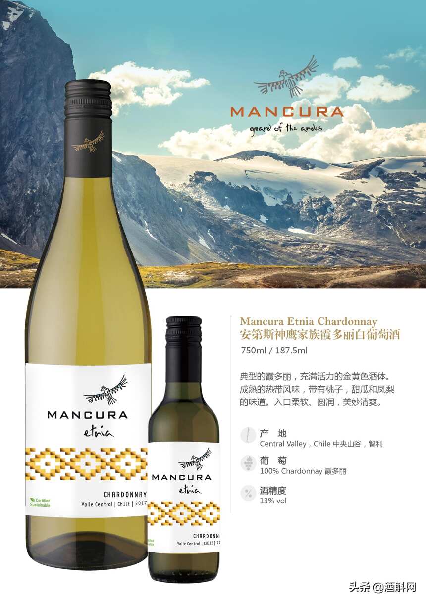 智利知名酒庄——安第斯神鹰（Mancura）