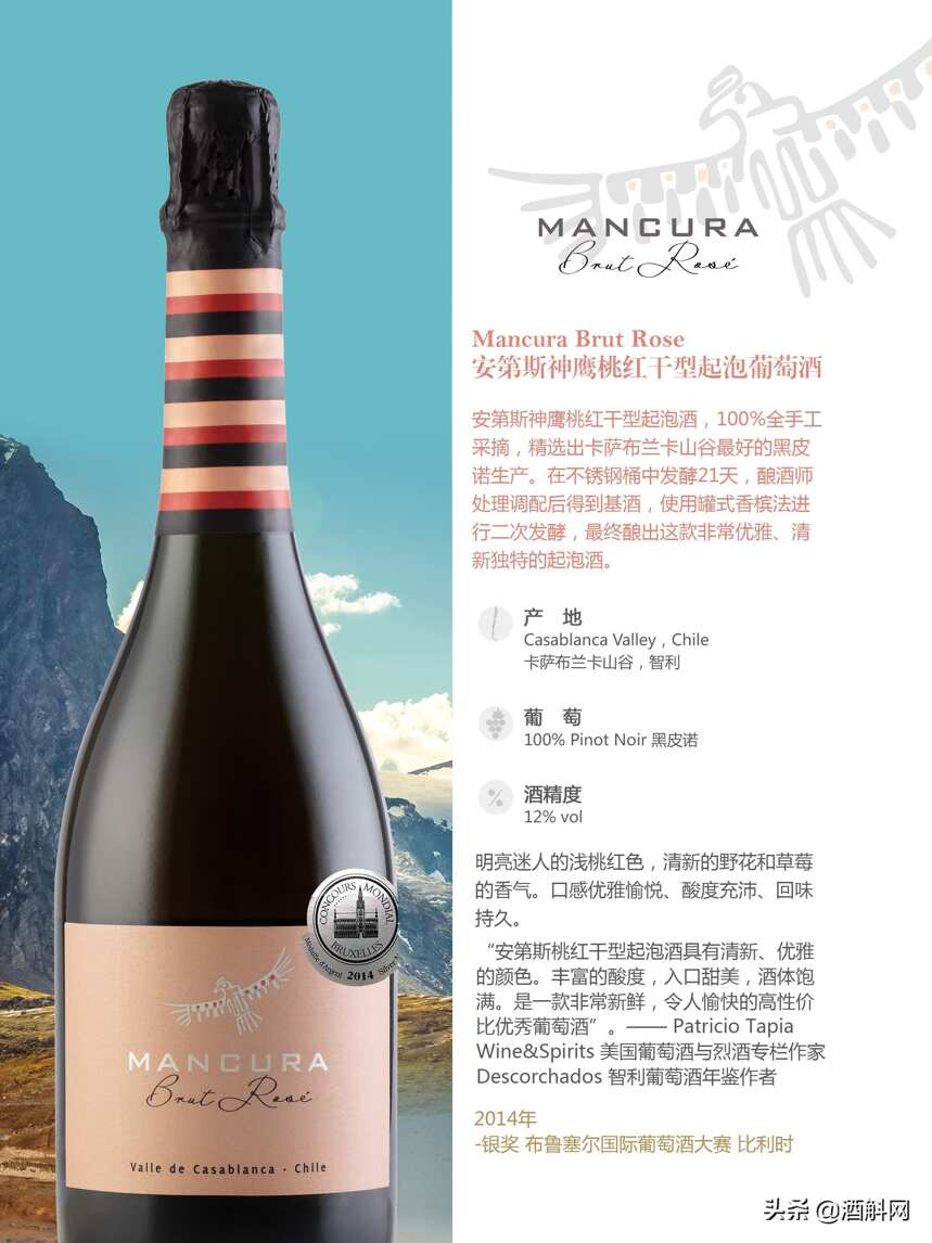 智利知名酒庄——安第斯神鹰（Mancura）