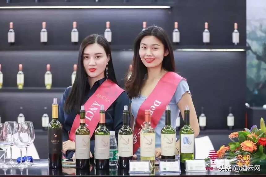 一口气打卡3000+精品葡萄酒，深圳TOEwine酒展预约开始