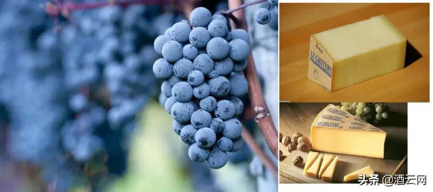 葡萄酒+奶酪，这里有12种流行的搭配方式！