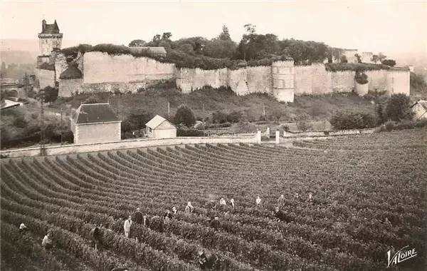 明信片带你了解法国葡萄酒产区之——卢瓦河谷Loire Valley