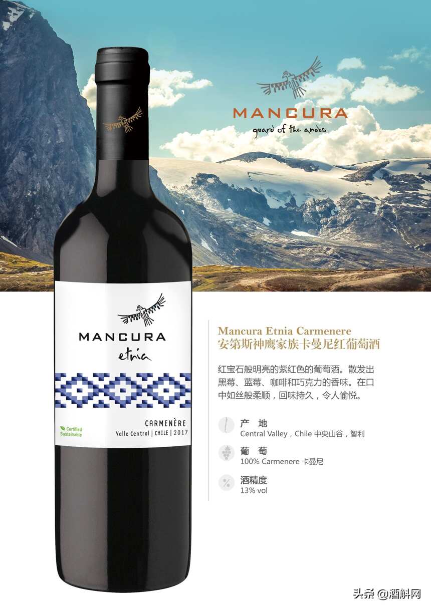 智利知名酒庄——安第斯神鹰（Mancura）