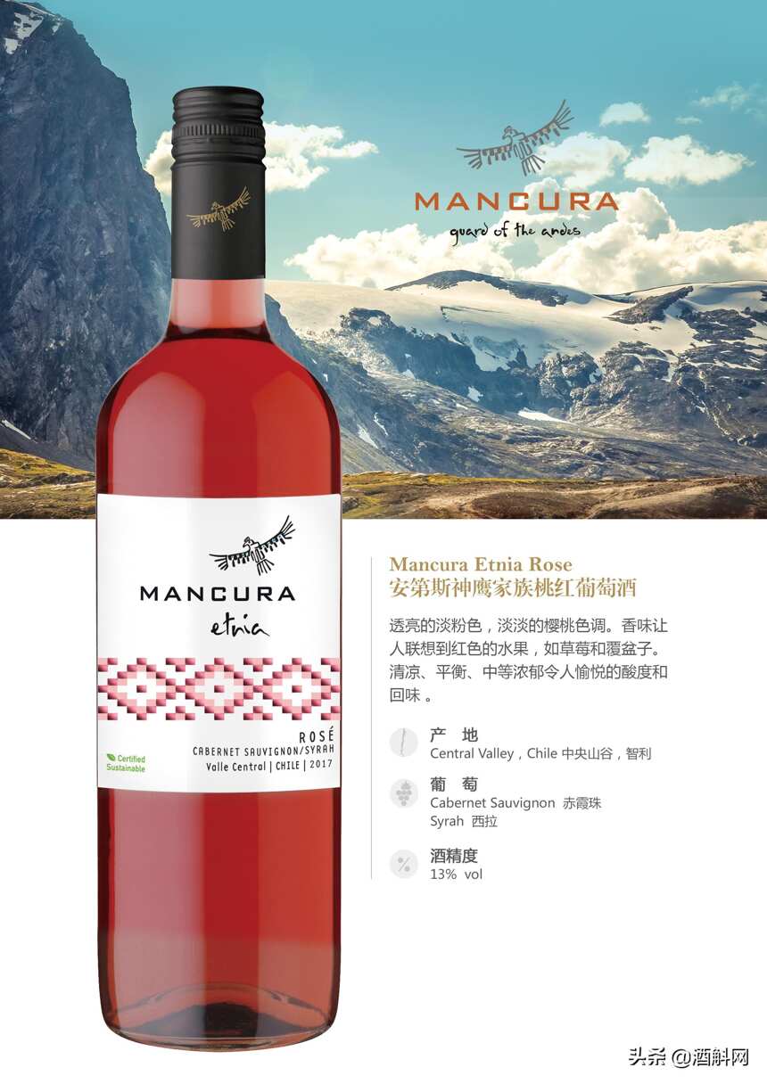 智利知名酒庄——安第斯神鹰（Mancura）