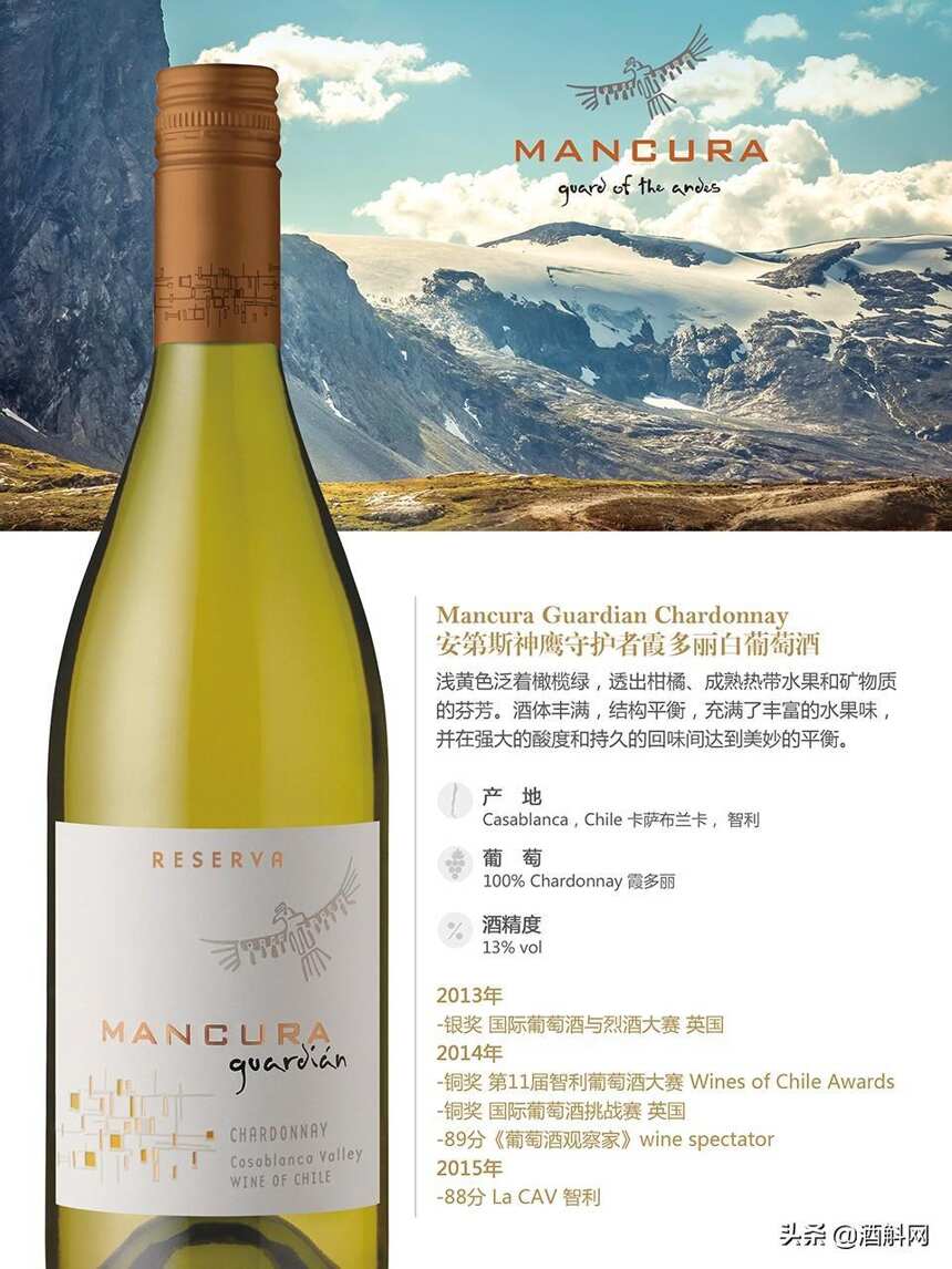 智利知名酒庄——安第斯神鹰（Mancura）