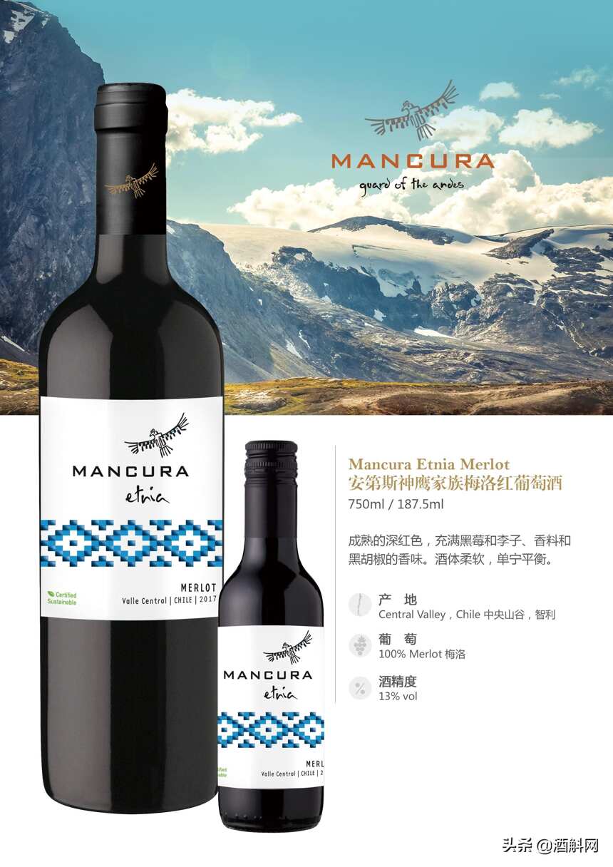 智利知名酒庄——安第斯神鹰（Mancura）