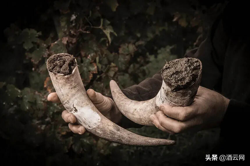 有机，生物动力与自然酒究竟都是什么？