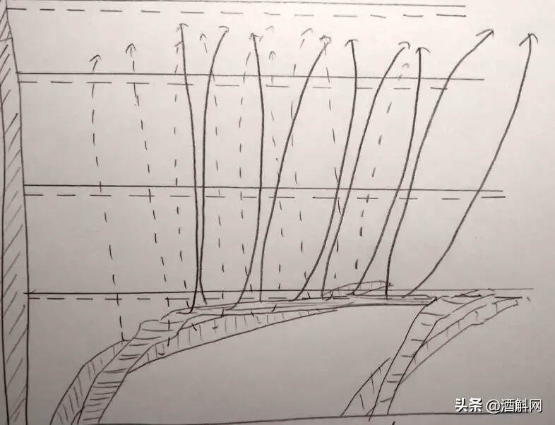 这真是个看脸的世界，葡萄树好看才能酿好酒