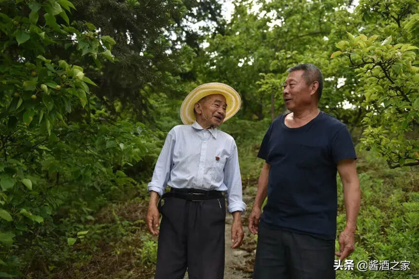 茅台老人坚守深山23年！看最可敬的人牵手...