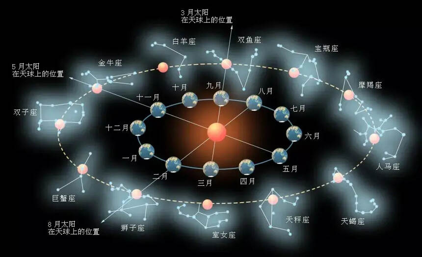 有机、生物动力法和自然酒有何区别？