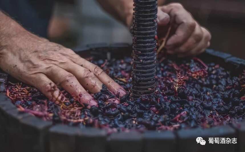 综艺都刮起环保风，那酿葡萄酒的废料能干点什么呢？