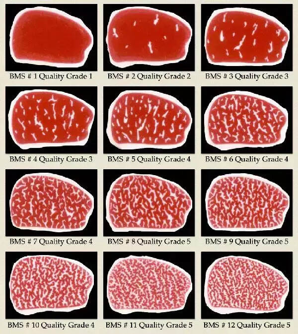 日本和牛：一辈子总要吃一次的顶级牛肉