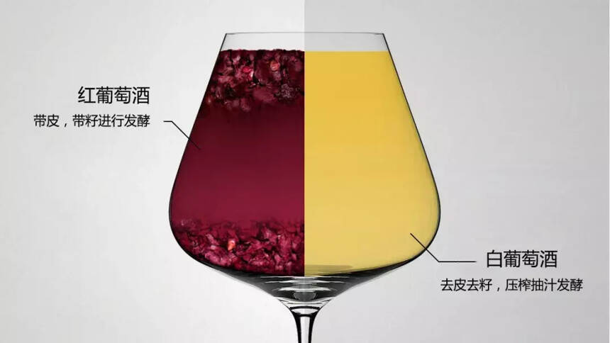 红、白葡萄酒的区别，你真的知道吗