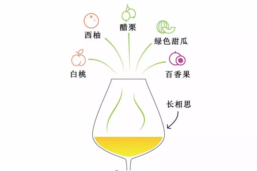 这杯葡萄酒到底有什么香气？