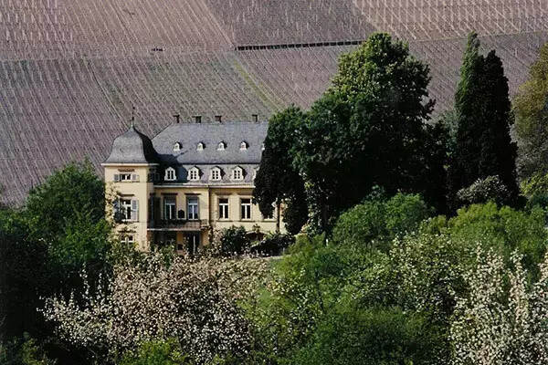 德国酒王伊慕：世界上最贵的白葡萄酒